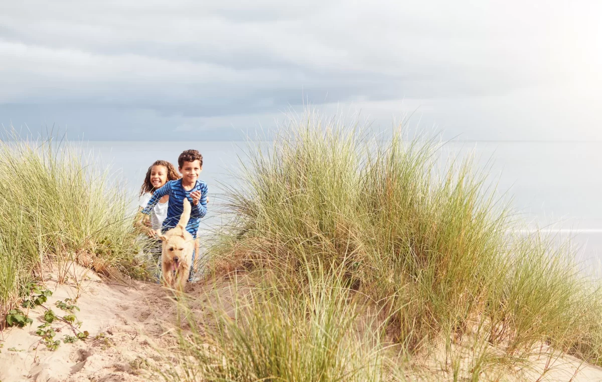 Couple exploring the beach amid allergy season